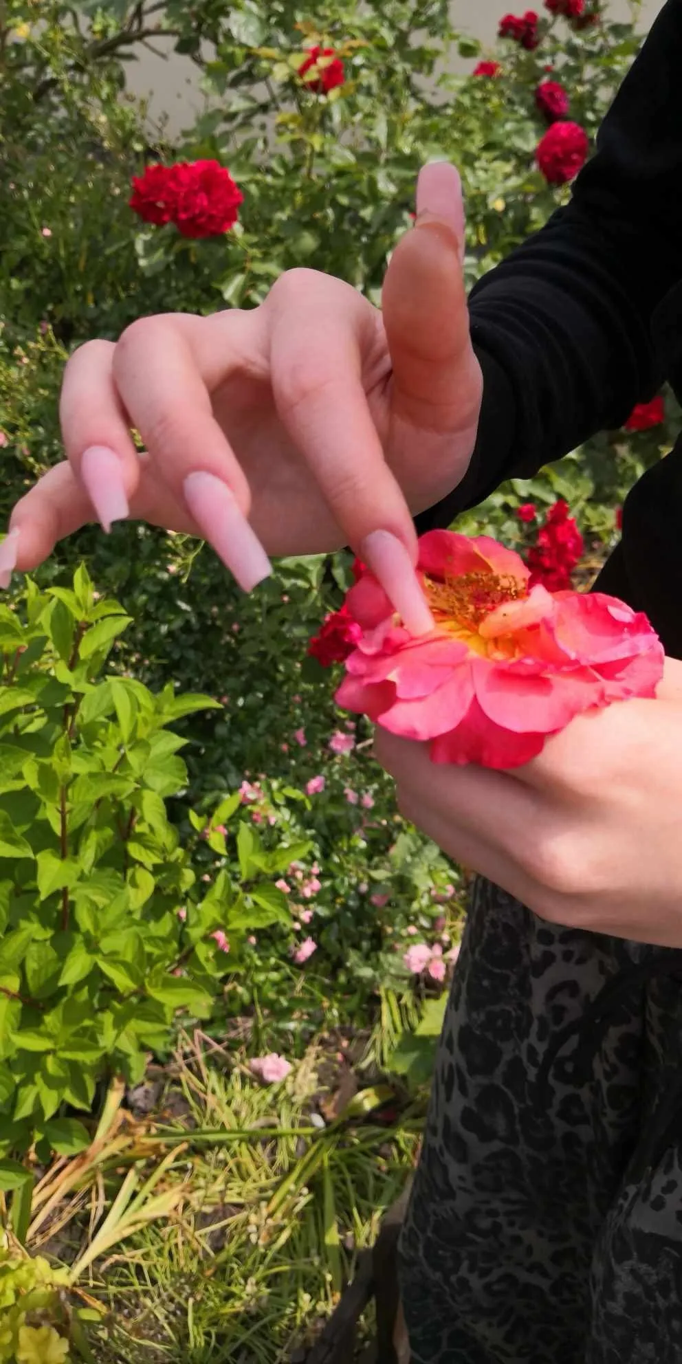 Warsztaty przyrodnicze