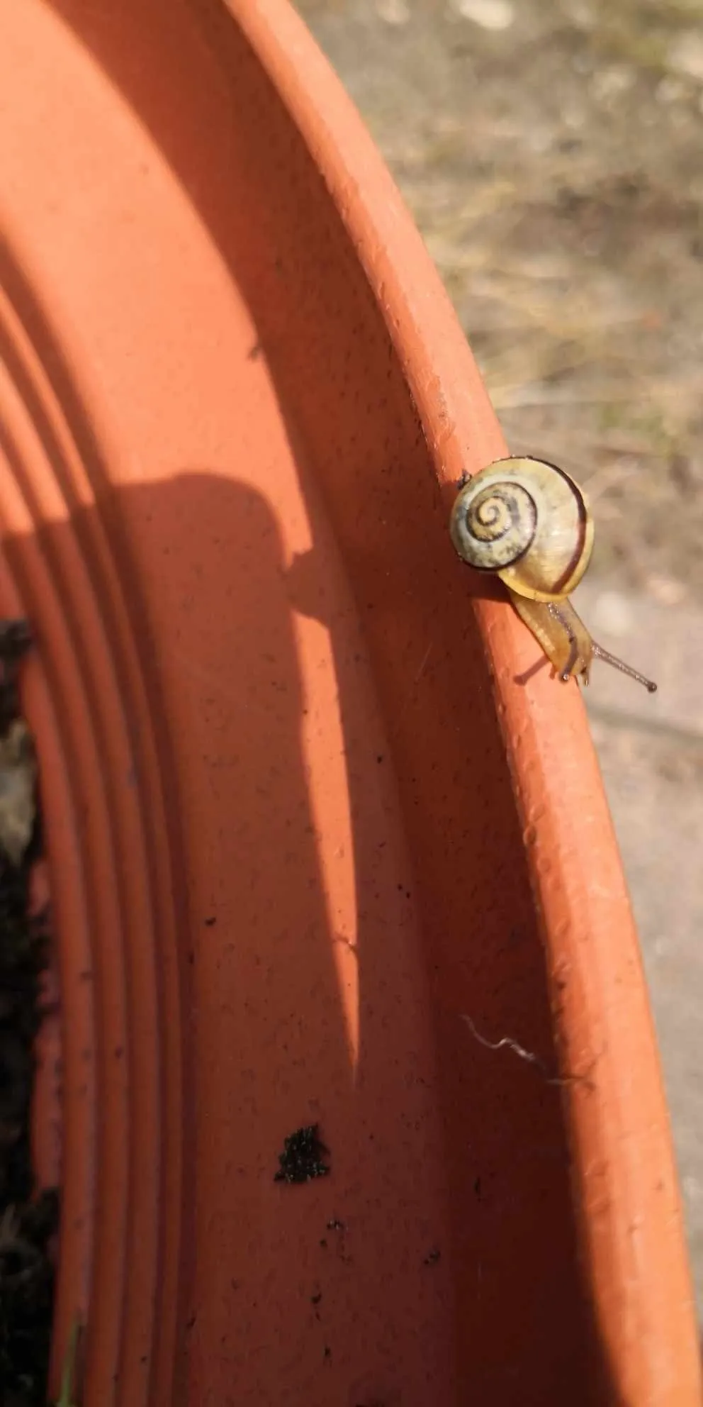 Warsztaty przyrodnicze