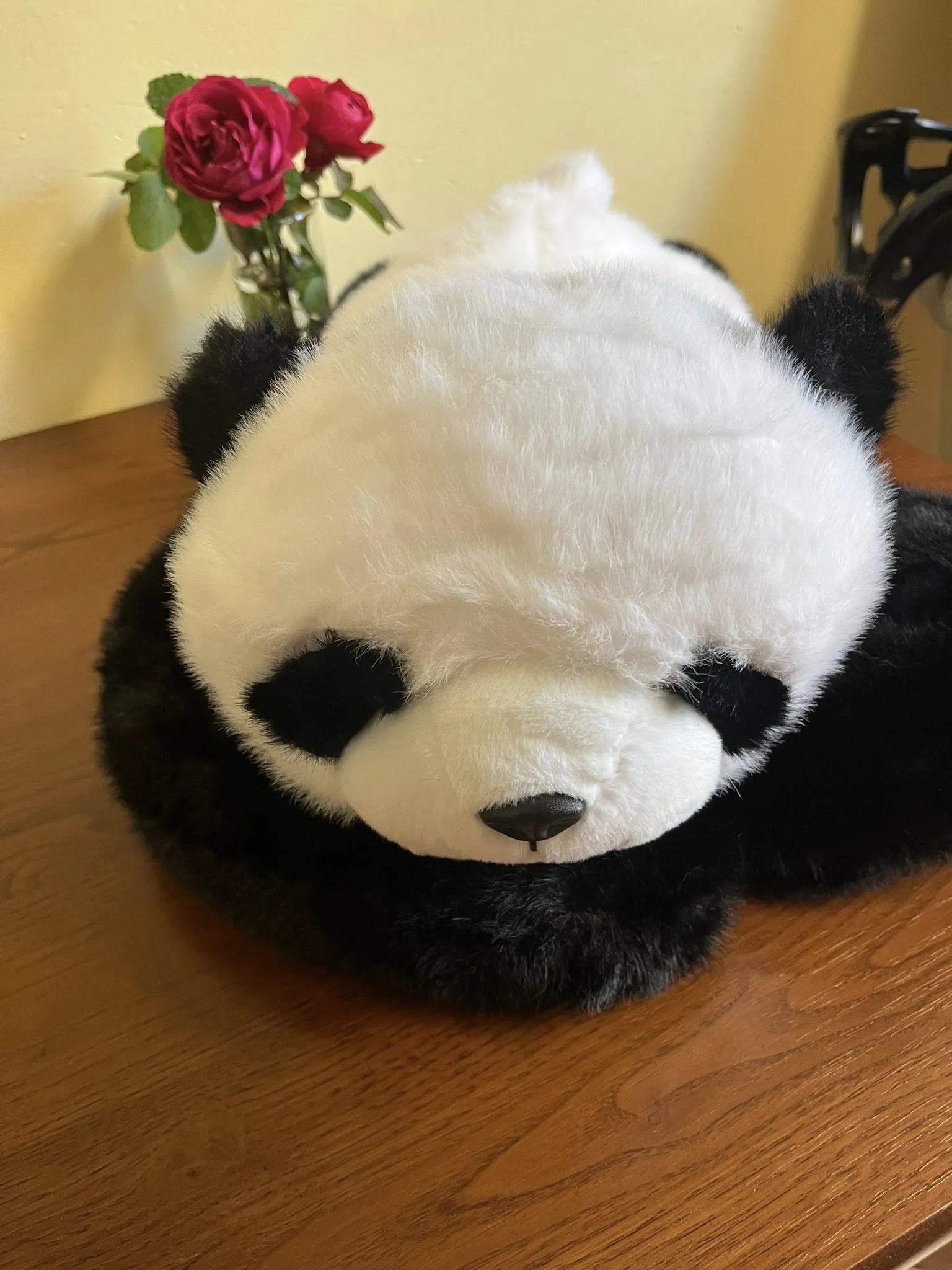 wsparcie sensoryczne