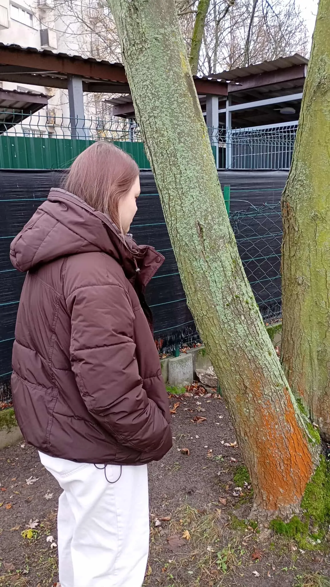 W poszukiwaniu Porostów