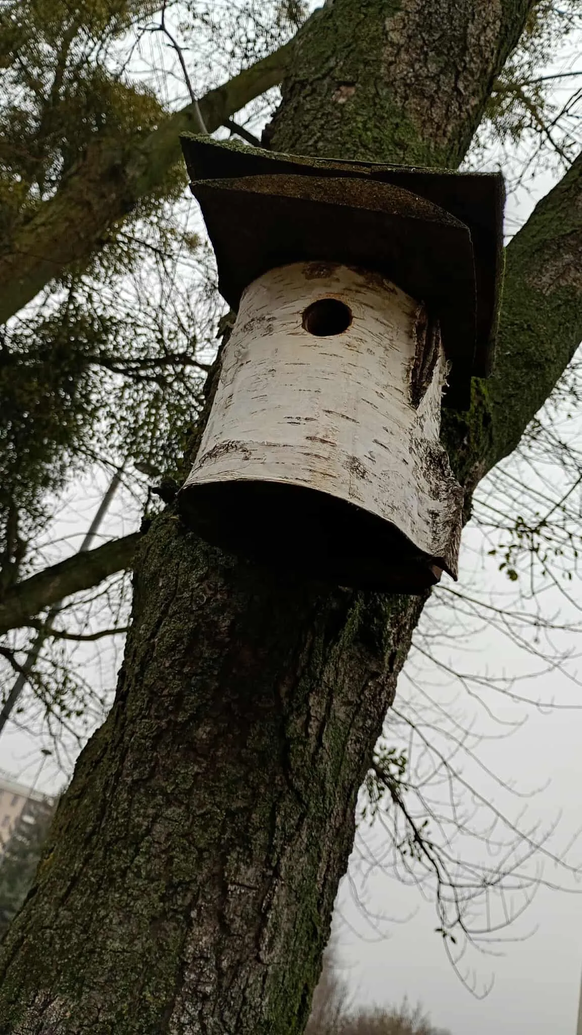 W poszukiwaniu Porostów