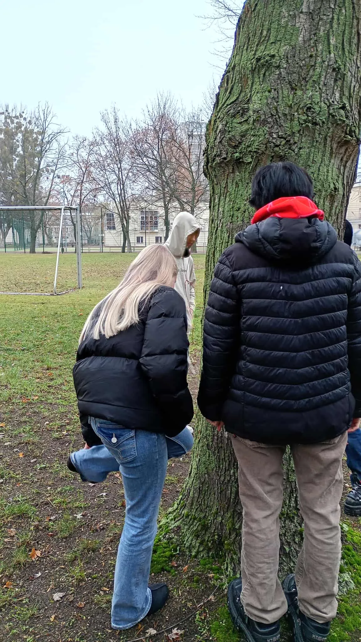 W poszukiwaniu Porostów