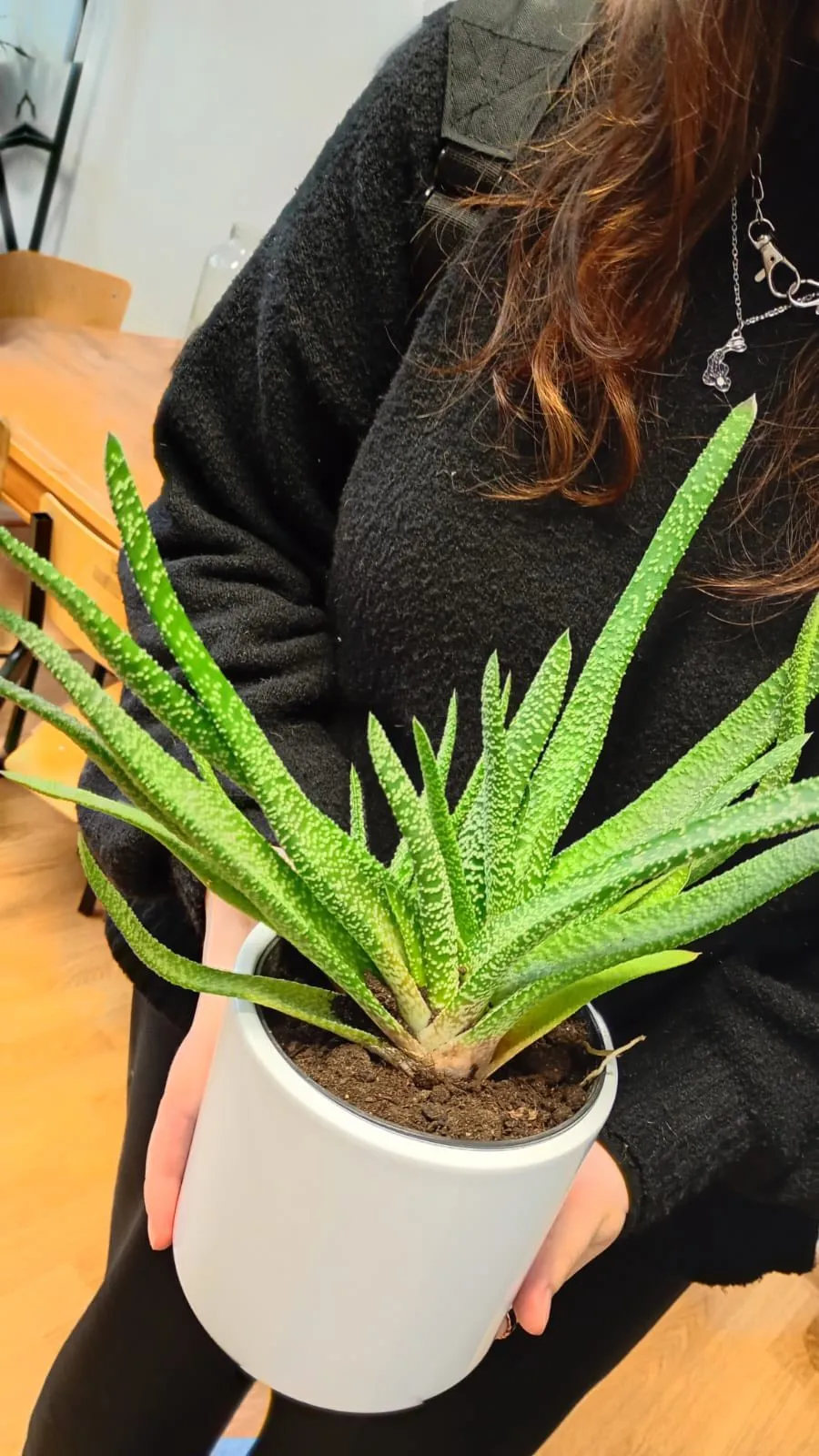 warsztaty przyrodnicze