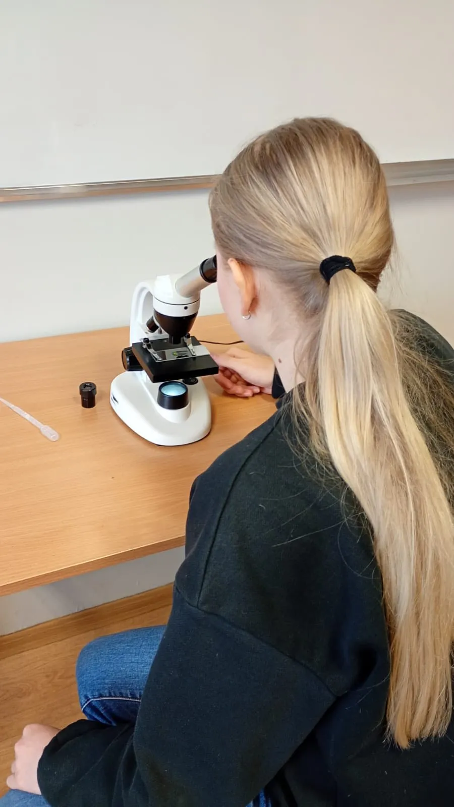 warsztaty przyrodnicze